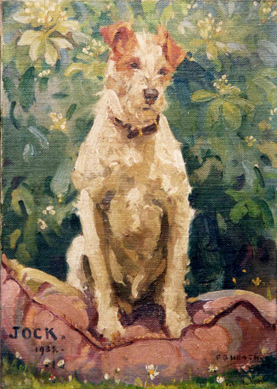 084. Jock, the family dog