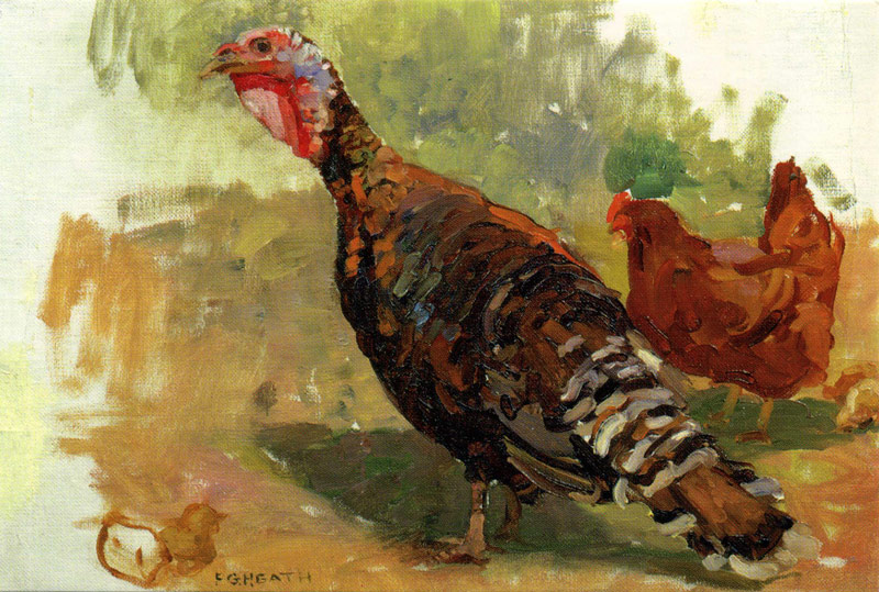 081. Turkey
